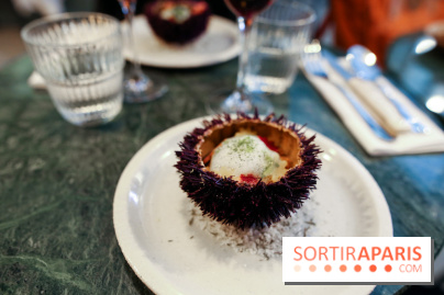 Calice à Paris, nos photos - IMG 2461