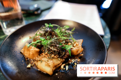 Calice à Paris, nos photos - IMG 2479