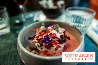 Calice à Paris, nos photos - IMG 2489