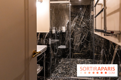 Hôtel Napoléon à Fontainebleau - SPA, bar et restaurant -  A7C4470