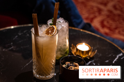 Hôtel Napoléon à Fontainebleau - SPA, bar et restaurant -  A7C4474