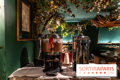 Hôtel Napoléon à Fontainebleau - SPA, bar et restaurant -  A7C4544