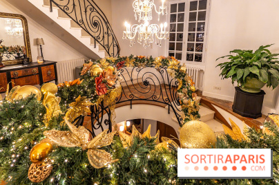 La Plaine de l'Angélus - chambre d'hôte et gîte près de Barbizon -  A7C4938