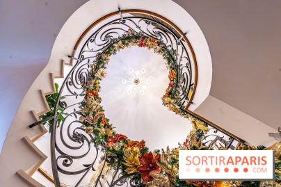 La Plaine de l'Angélus - chambre d'hôte et gîte près de Barbizon -  A7C4966