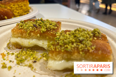 Maison Hallab - nos photos - image00012