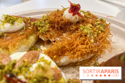 Maison Hallab - nos photos - image00013