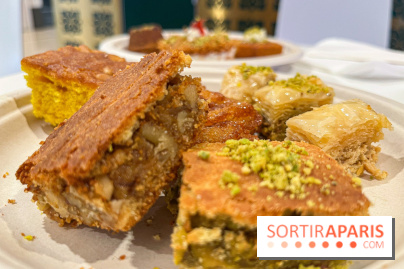 Maison Hallab - nos photos - image00014