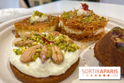 Maison Hallab - nos photos - image00015