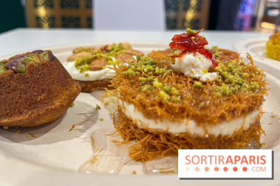 Maison Hallab - nos photos - image00017