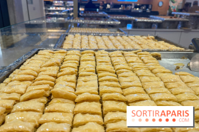 Maison Hallab - nos photos - image00006