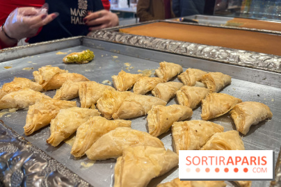 Maison Hallab - nos photos - image00007