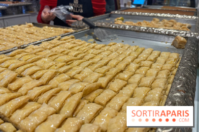 Maison Hallab - nos photos - image00008