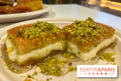 Maison Hallab - nos photos - image00009