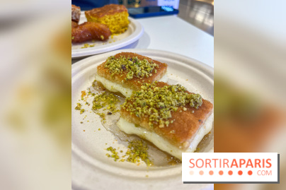 Maison Hallab - nos photos - image00010