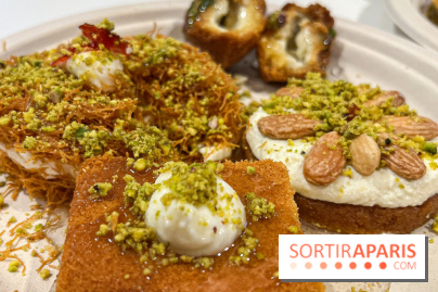 Maison Hallab - nos photos - image00011