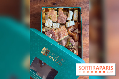 Maison Hallab - nos photos - image00001