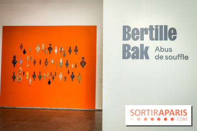 Abus de souffle, l'exposition photo humaniste et engagée de Bertille Bak se dévoile au Jeu de Paume - IMG20240212110641