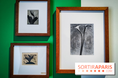Tina Modotti : l'exposition photo rétrospective au Jeu de Paume - nos photos