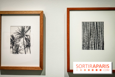 Tina Modotti : l'exposition photo rétrospective au Jeu de Paume - nos photos - IMG20240212100339