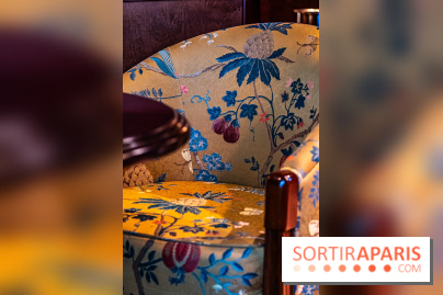 Le Procope historique s'agrandit et ouvre son café-glacier -  A7C5538