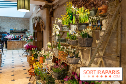 Cordelia Castellane Coffee Flower Shop