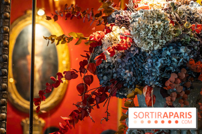 Le Procope restaurant -  A7C5542