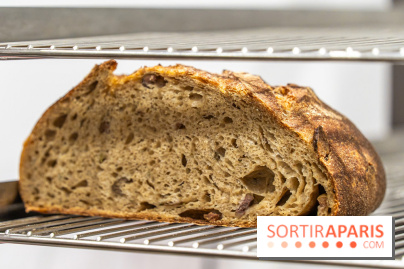 Pane Vivo, le pain au blé dur ancien -  A7C2700