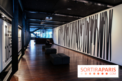 Tania Mouraud, nos photos de son expo à Fluctuart - IMG 2700