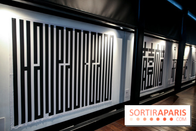 Tania Mouraud, nos photos de son expo à Fluctuart - IMG 2701