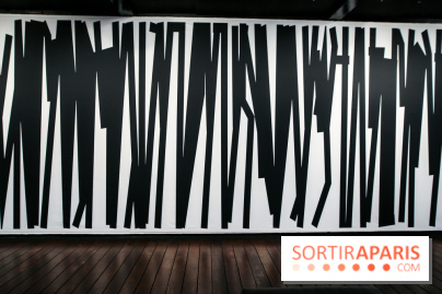 Tania Mouraud, nos photos de son expo à Fluctuart