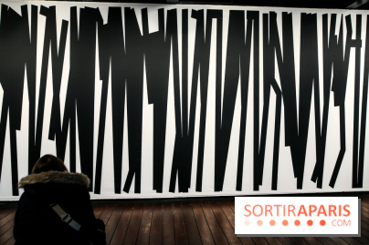 Tania Mouraud, nos photos de son expo à Fluctuart - IMG 2705