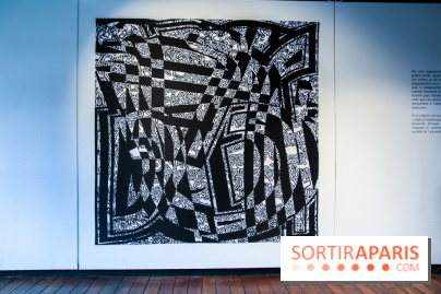 Tania Mouraud, nos photos de son expo à Fluctuart