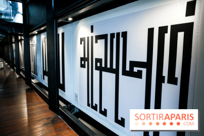 Tania Mouraud, nos photos de son expo à Fluctuart - IMG 2713