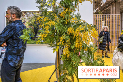 Exposition Signal de Mohamed Bourouissa au Palais de Tokyo - IMG 4475