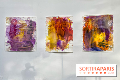 Exposition Signal de Mohamed Bourouissa au Palais de Tokyo - IMG 4499