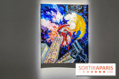 Exposition Signal de Mohamed Bourouissa au Palais de Tokyo - IMG 4520