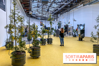 Exposition Signal de Mohamed Bourouissa au Palais de Tokyo - IMG 4531