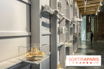 Toucher l'insensé, l'exposition collective au Palais de Tokyo - IMG 4566