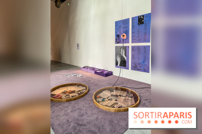 Toucher l'insensé, l'exposition collective au Palais de Tokyo - IMG 4603