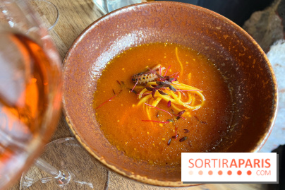 Korus - Seiche comme une bouillabaisse