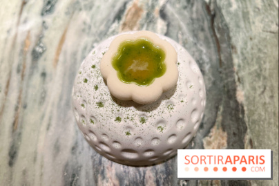OKA - FOGO - Sorbet aneth, sarriette, citron
