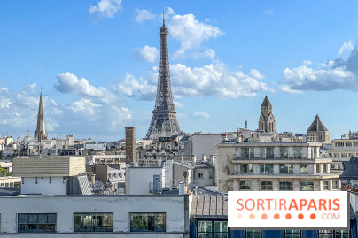 Visuel Paris 8e - toits - tour eiffel