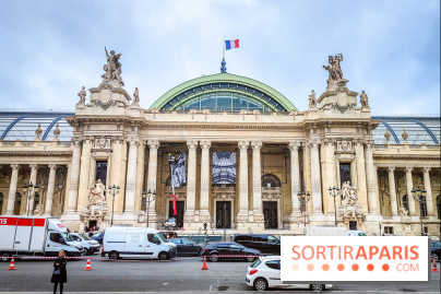 Visuel Paris 8e - Grand Palais