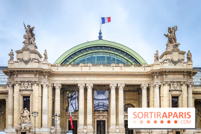 Visuel Paris 8e - Grand Palais