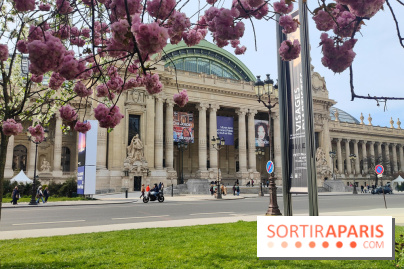 Visuel Paris 8e - Grand Palais printemps 