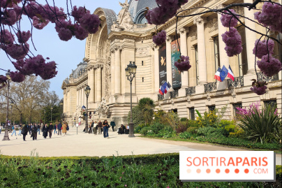 Visuel Paris 8e - Petit Palais printemps cerisiers fleurs 