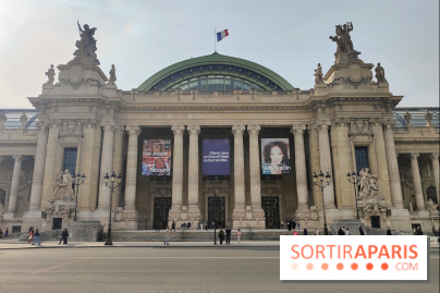 Visuel Paris 8e - Grand Palais 