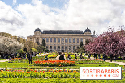 Visuel Paris 5e -  jardin des plantes - museum - printemps - cerisiers