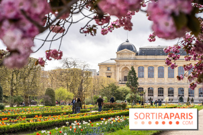 Visuel Paris 5e -  jardin des plantes - museum - printemps - cerisiers