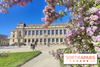 Visuel Paris 5e - Muséum jardin des plantes 